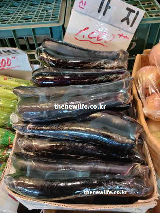 가지 효능 조리법 껍질