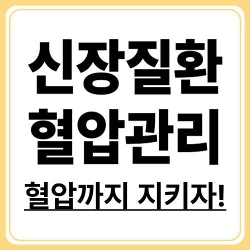 만성신장질환 혈압 관리, 심장까지 지키는 방법