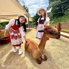 강원도 홍천 알파카월드 