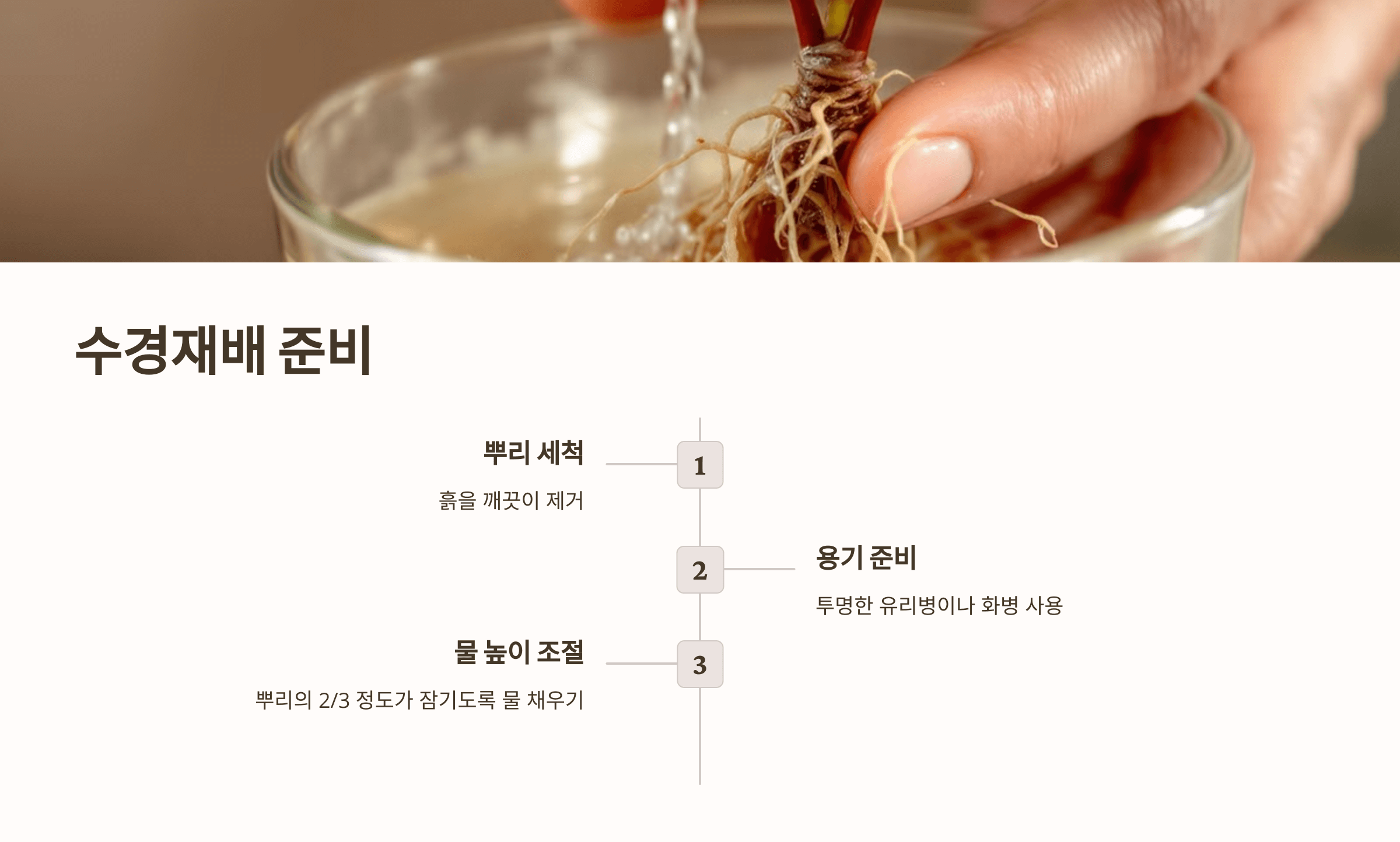 스파티필름과 관련된 사진입니다.