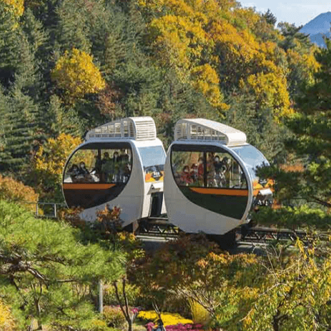 단풍속 화담숲 모노레일