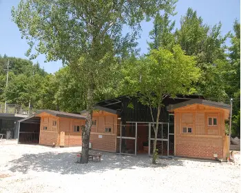 태백 해바라기 축제_25