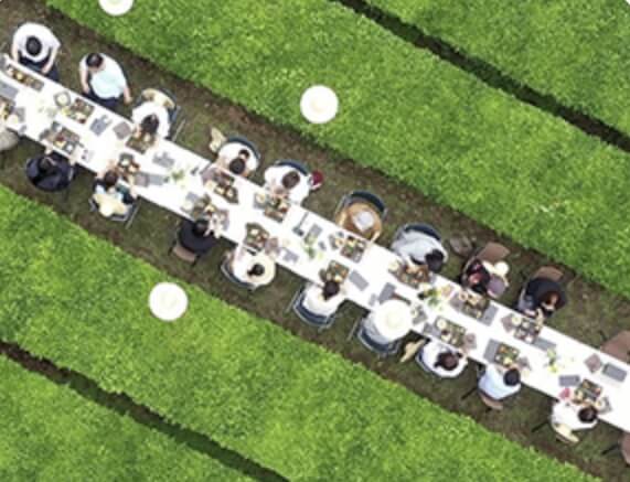 보성 다향대축제 2026