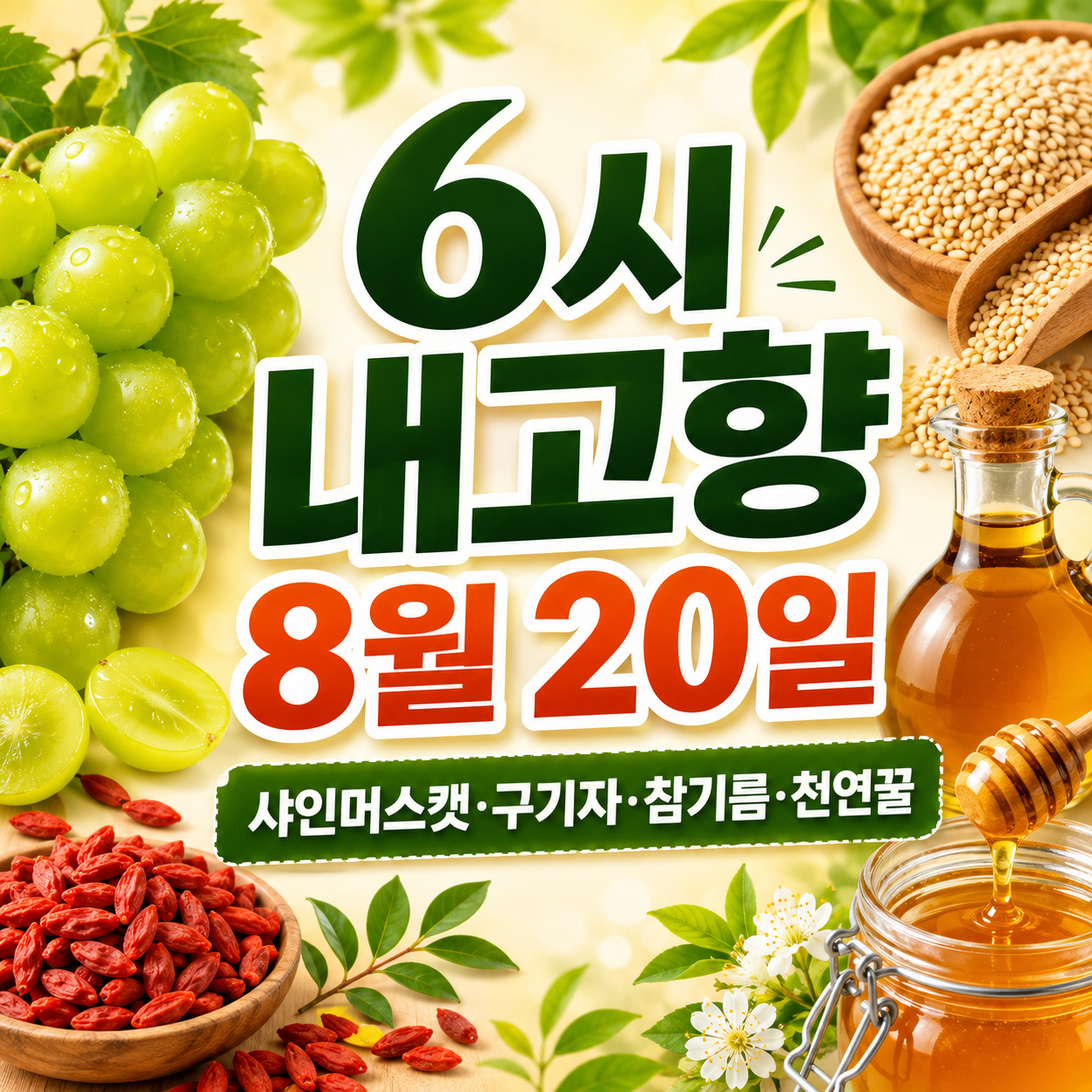 6시 내고향 8월 20일
