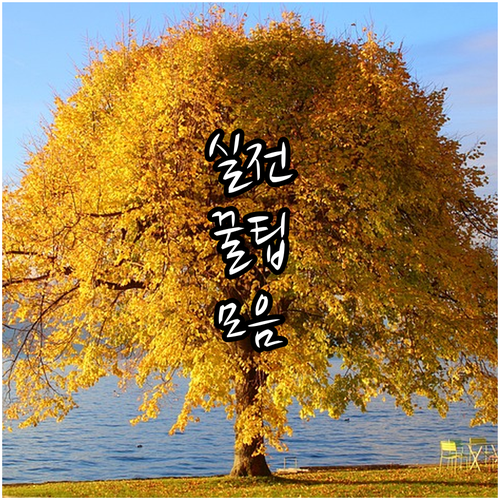 단양군 2025 학자금대출 이자지원 ..