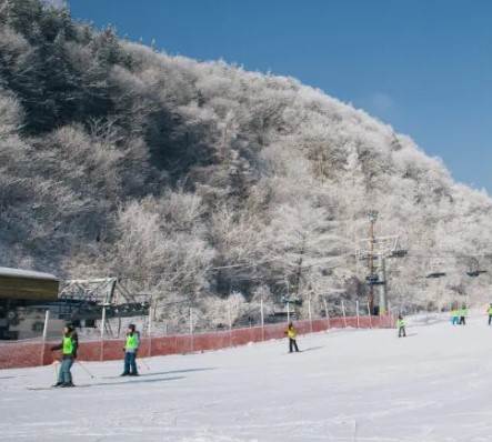 2025-2026 엘리시안 강촌 스키장 개장일 및 시즌권