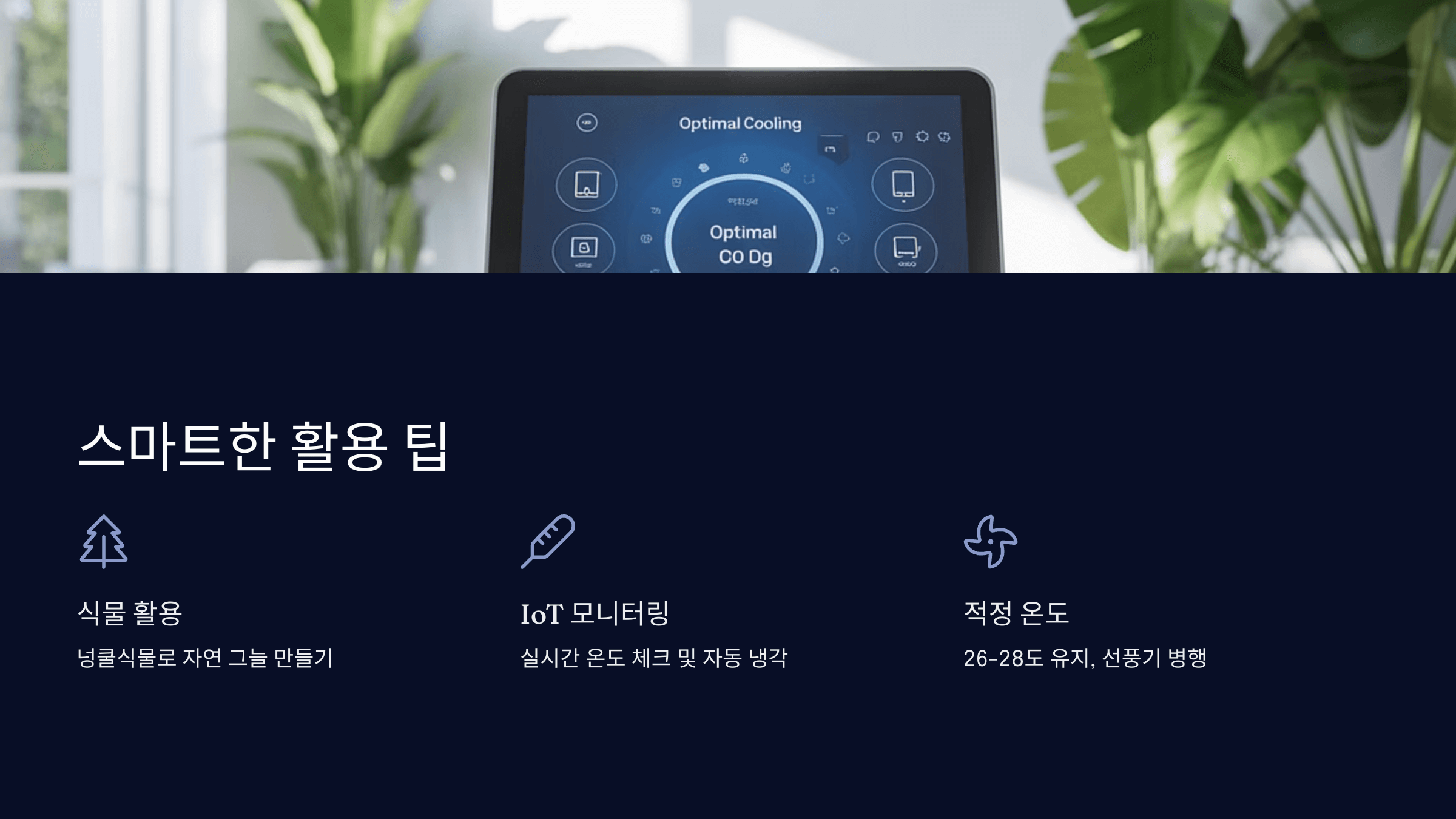 스마트한 활용 팁
