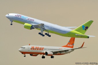 스마트패스항공사