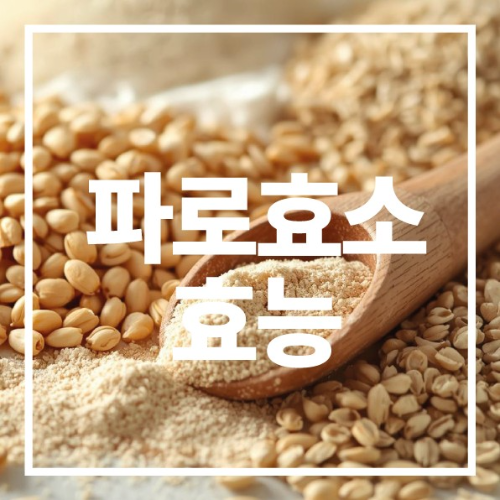 파로효소 효능