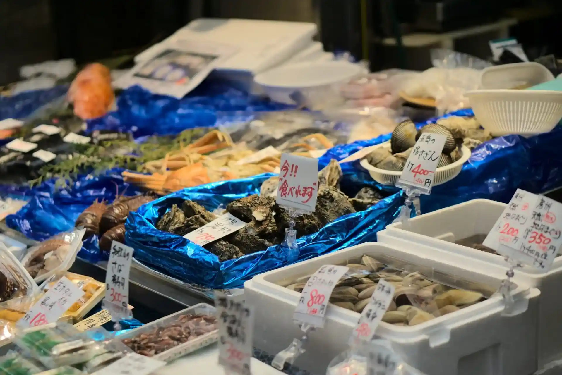 해산물, 고기, 절임 등 모든 것이 갖추어진 오사카의 부엌