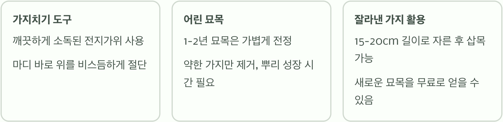 나무수국 가지치기, 안 해주면 내년에 후회합니다! (시기와 방법)