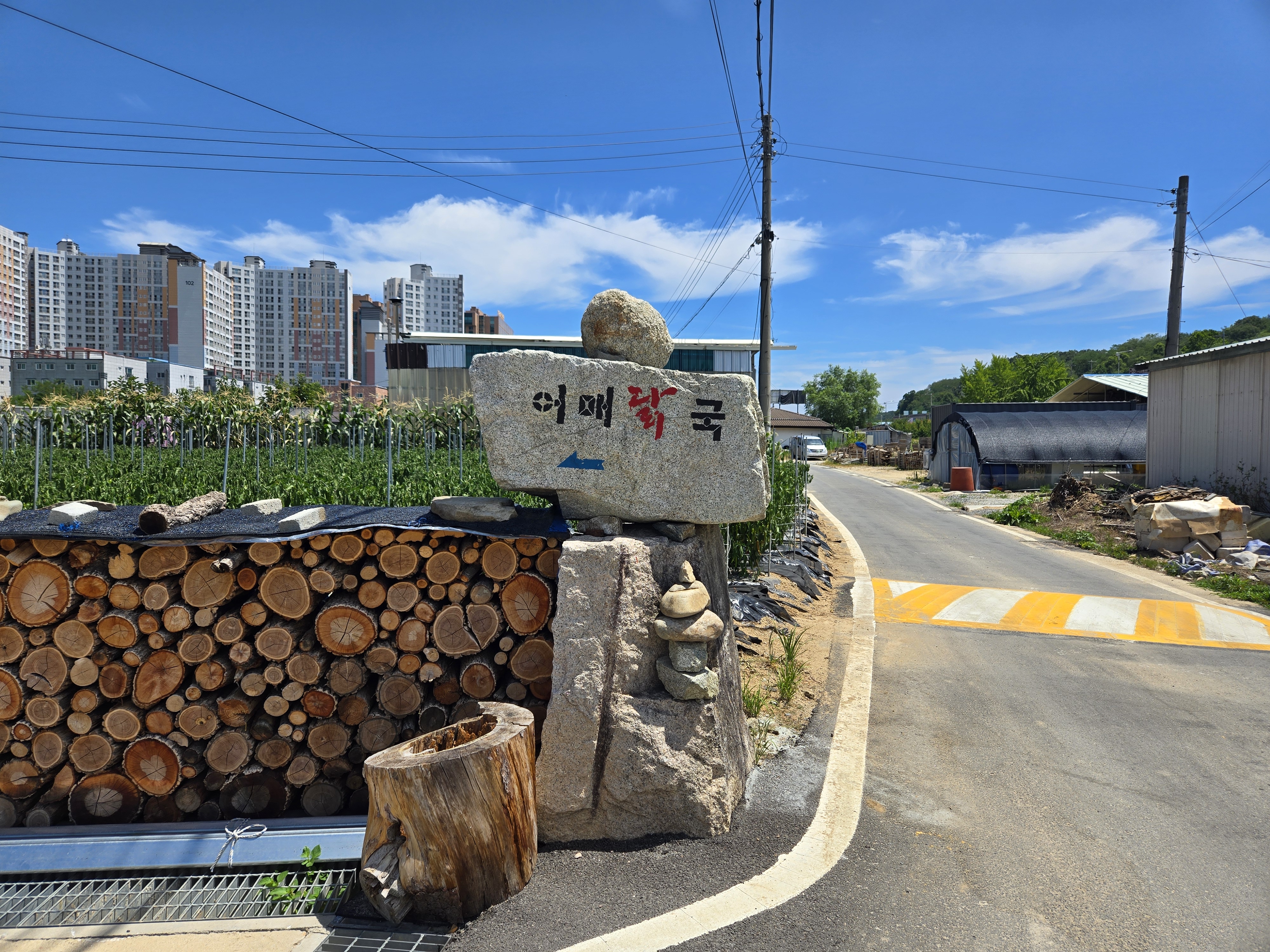 안동맛집 어매닭국