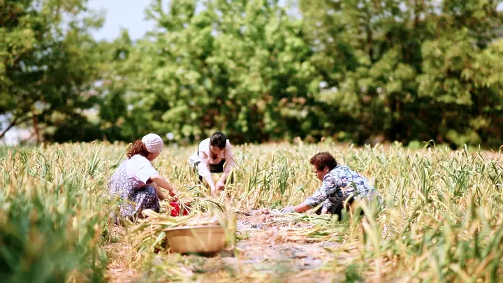 김영철의 동네 한 바퀴 딸부자집 56년 노포 어죽 당진 면천 저수지 맛집 소개