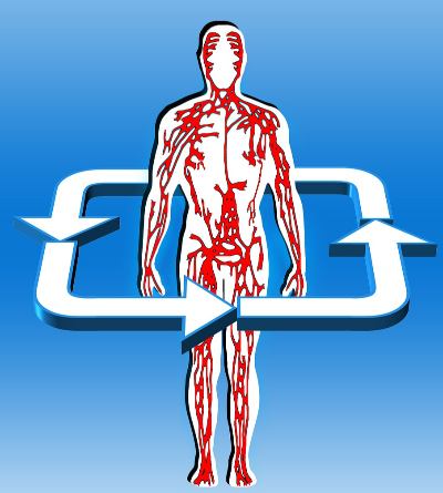 이 음식 먹으면 손발이 따뜻해집니다