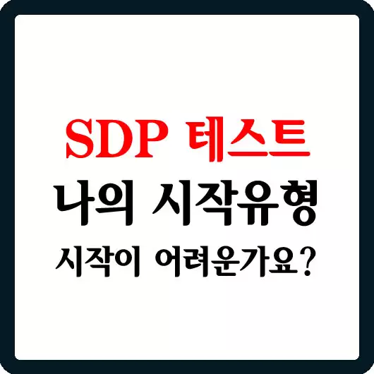 SDP 테스트 나의 시작 유형