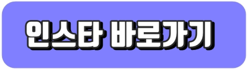 인스타 바로가기