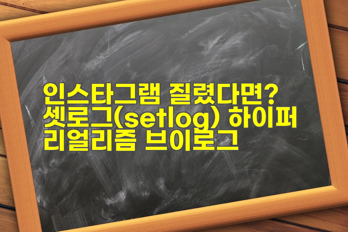셋로그(setlog) 하이퍼 리얼리즘 브이로그