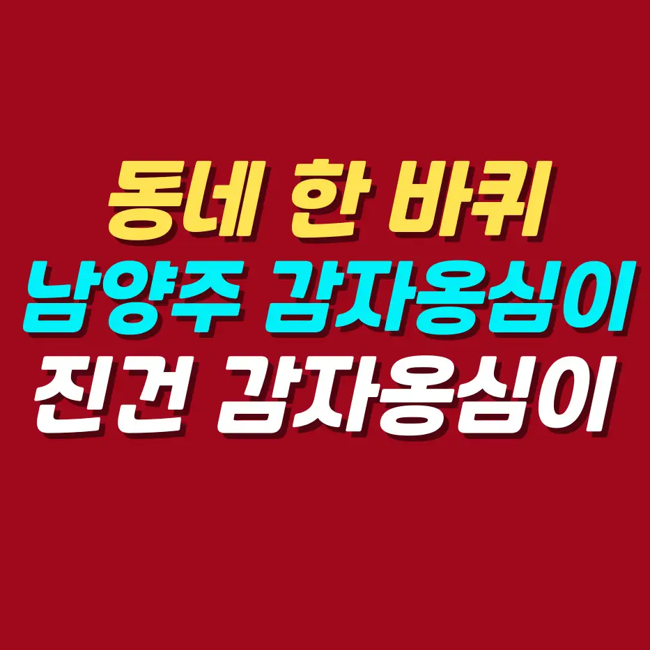 동네한바퀴-남양주-감자옹심이-맛집