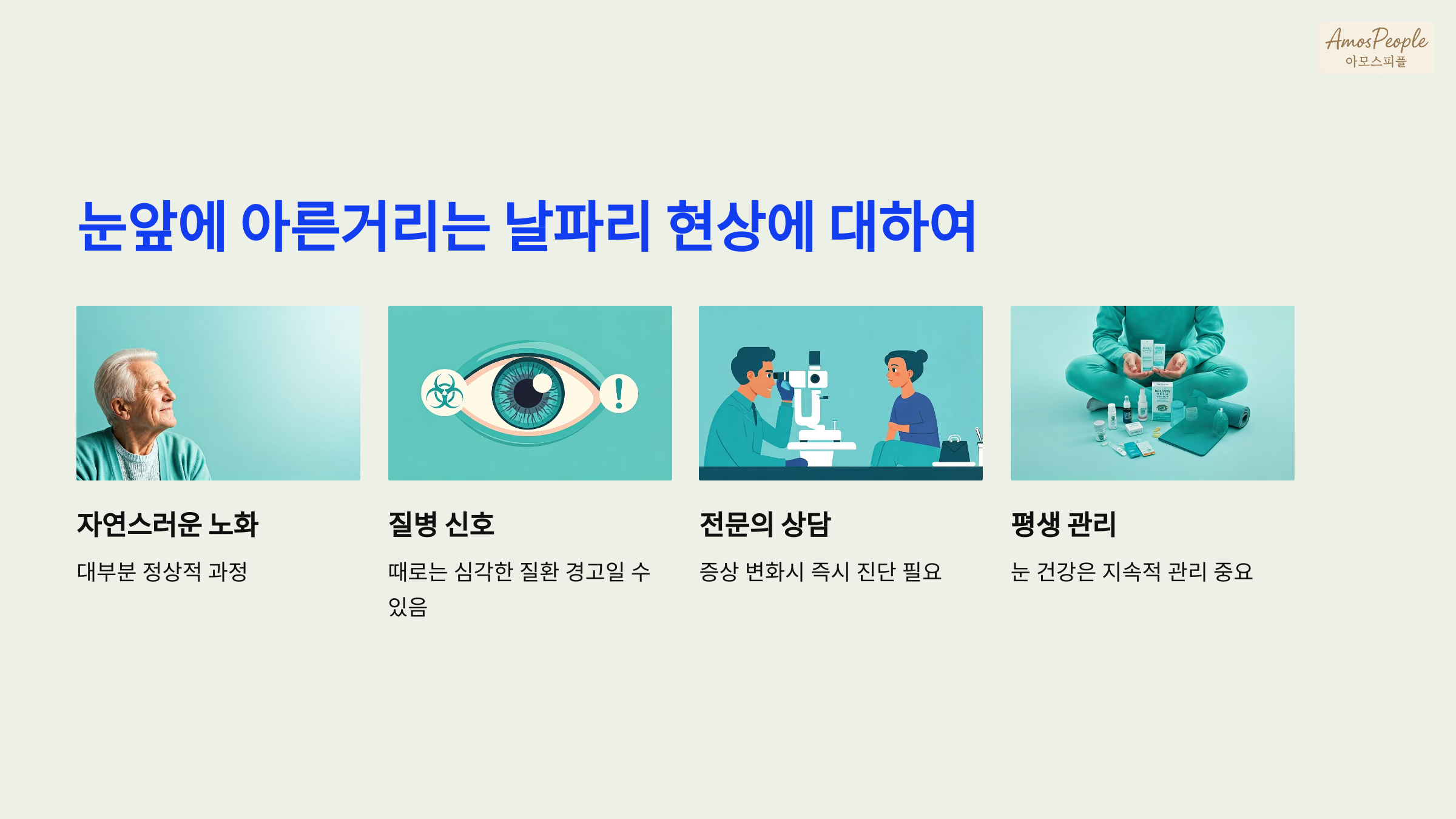 눈앞에 아른거리는 날파리 현상에 대하여 마무리