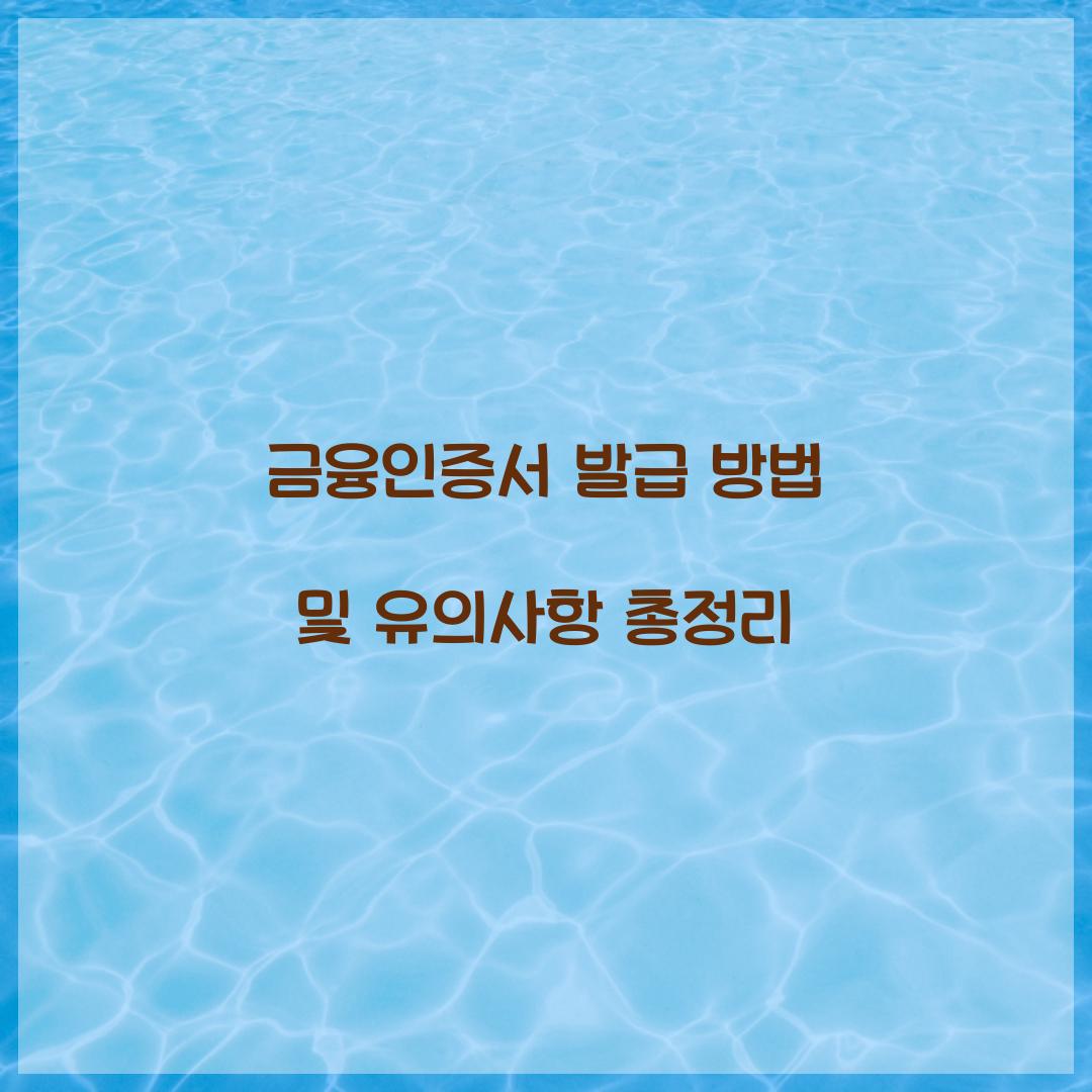 금융인증서 발급 방법
