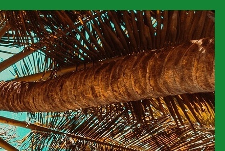 여름철건강관리