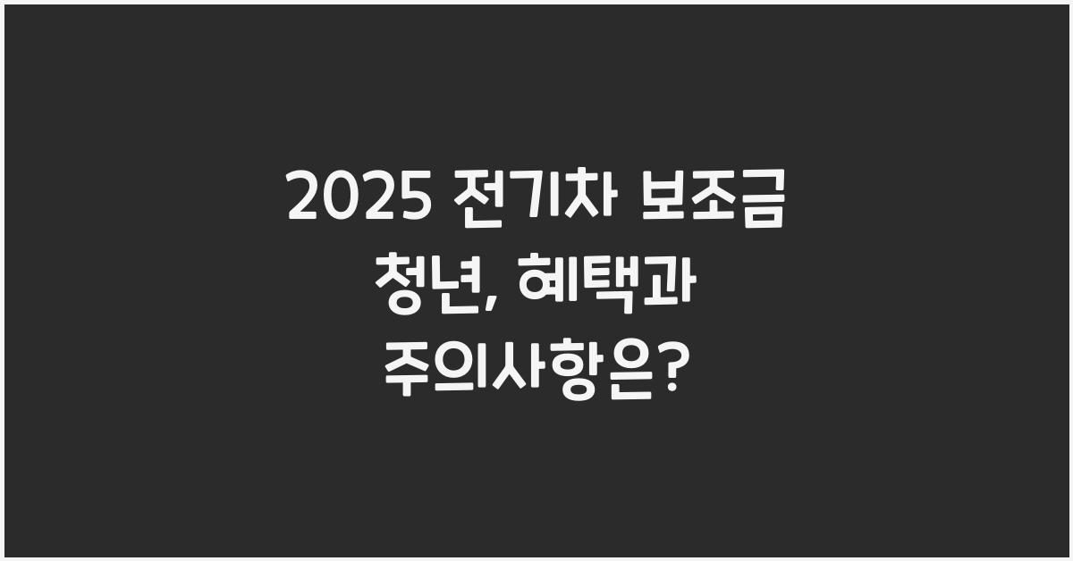 2025 전기차 보조금 청년