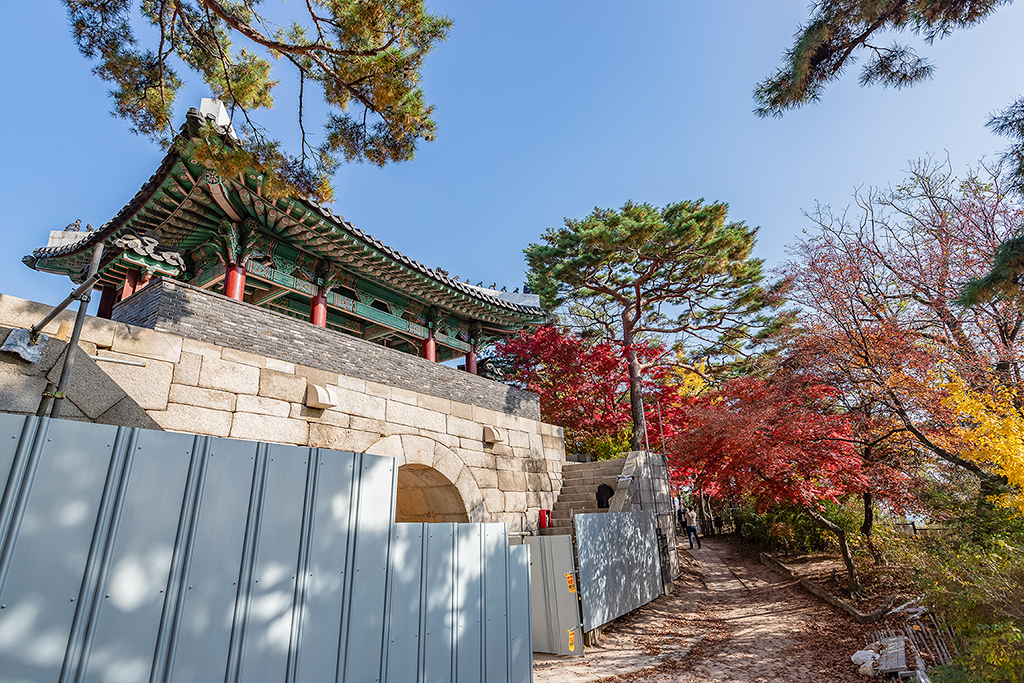 한양도성길
가을풍경
가을단풍
백악구간
서울여행
서울풍경
서울성곽길
청운대
말바위
숙정문