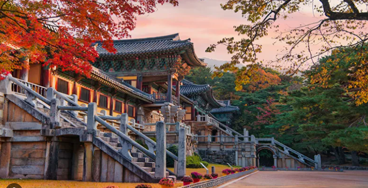 경주