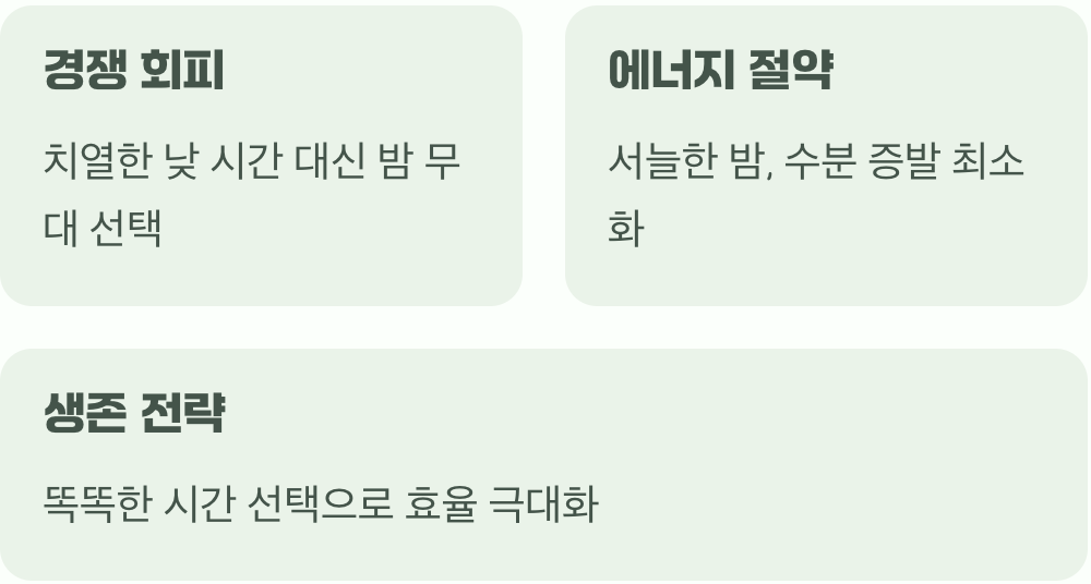 태양을 피해 달을 기다리는 이유