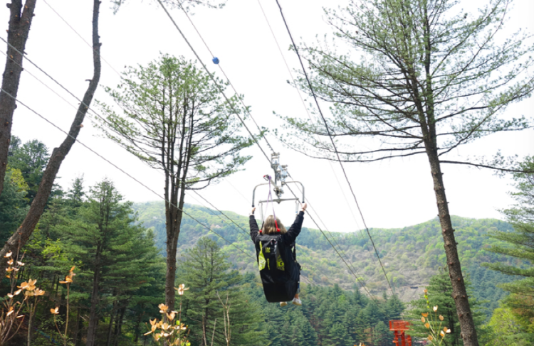 포천 어메이징파크