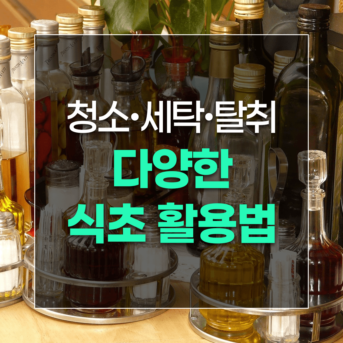 청소•세탁•탈취 다양한 식초 활용법