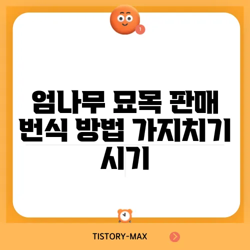 엄나무 묘목 판매 번식 방법 가지치기 시기