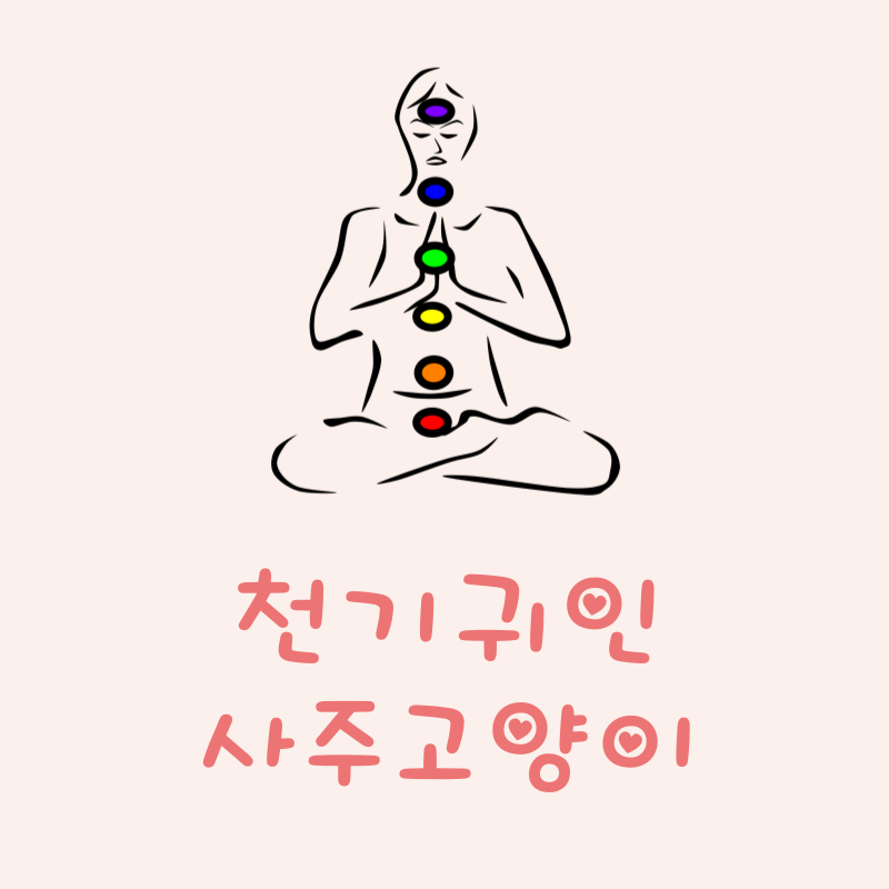천기귀인이란
