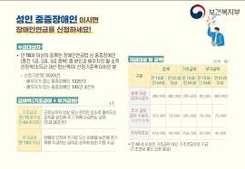 장애연금 지급 대상자