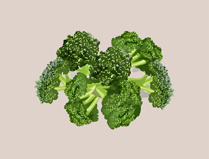 잘-세척한-브로콜리