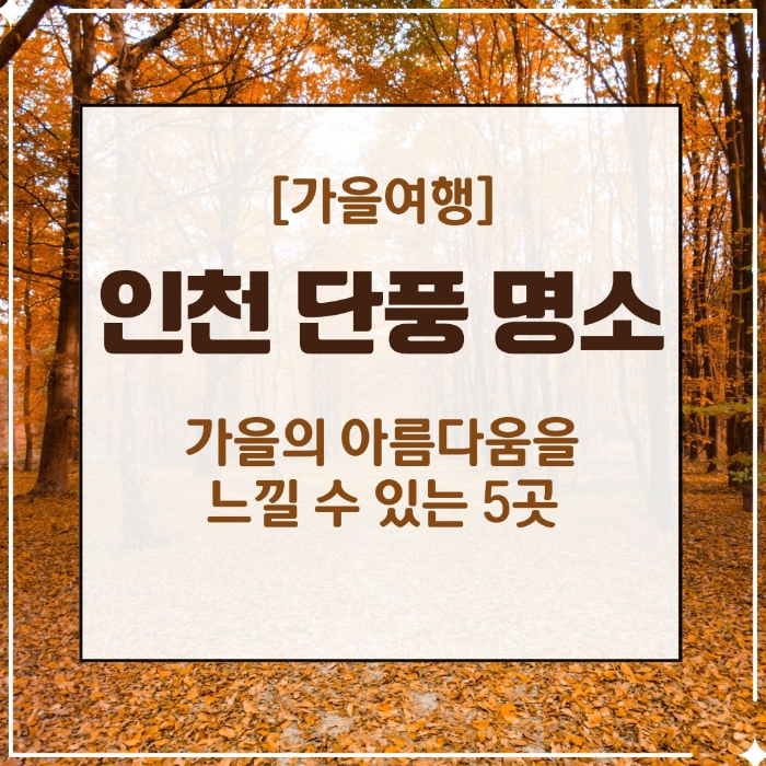 인천/명품/단풍/명소