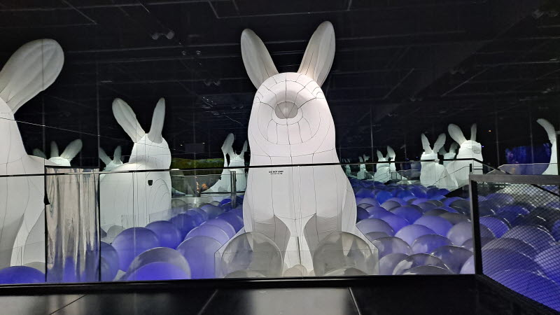 제주여행_아르떼뮤지엄_달토끼