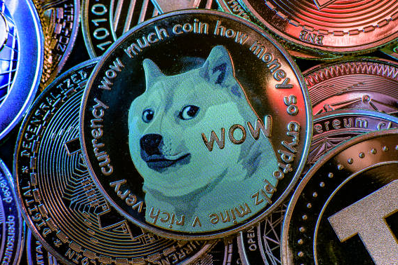 2025년은 알트코인의 해? 시장 순환 주기로 본 전망