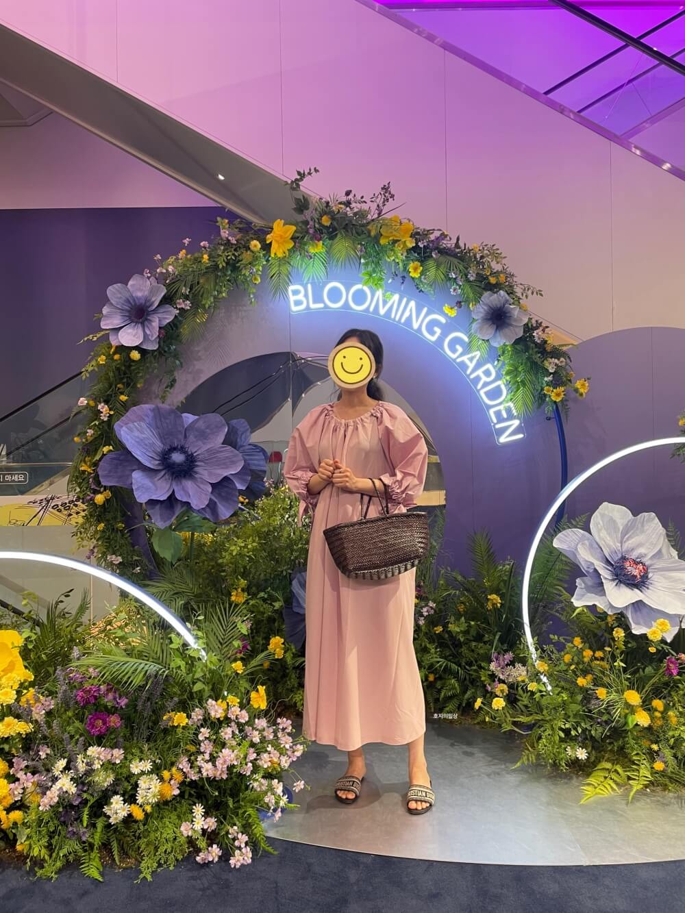 드래곤백 트리플점프 다크브라운 - 인디핑크색 착용 코디