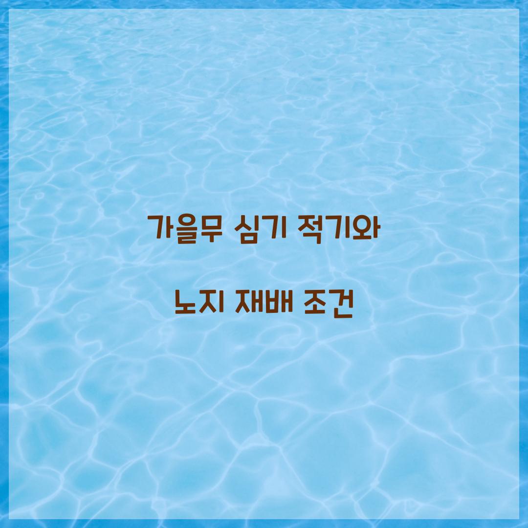 가을무 심기 적기와 노지 재배 조건