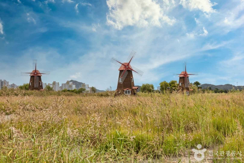 소래습지생태공원