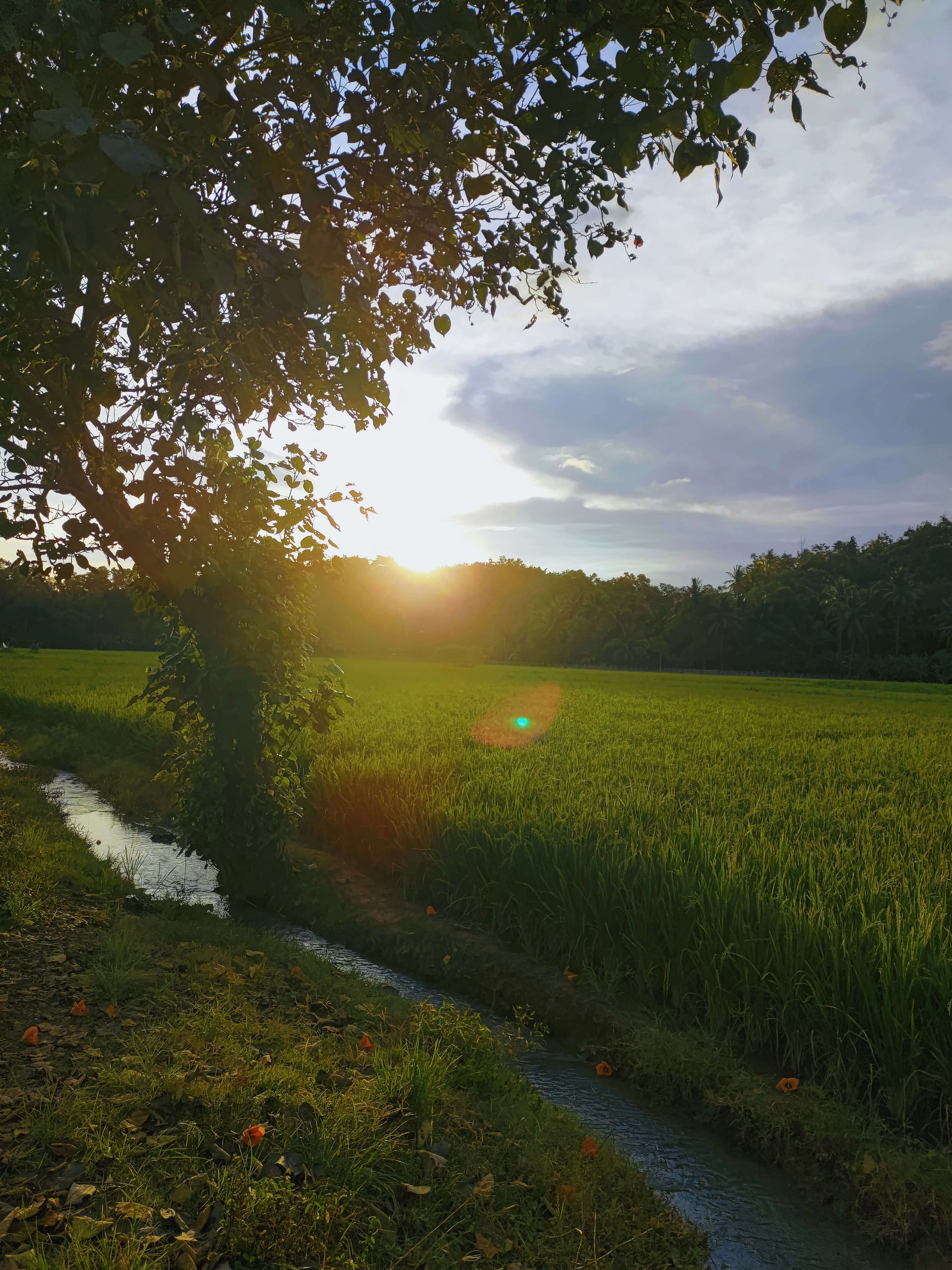 조상 땅 찾기 총정리