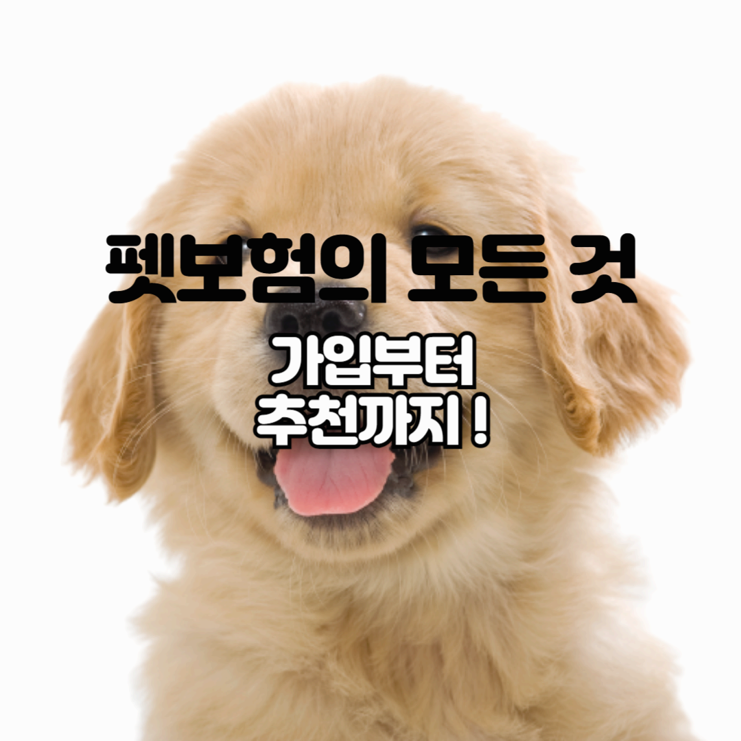 반려동물 건강지킴이, 펫보험의 모든 것: 가입부터 추천까지!