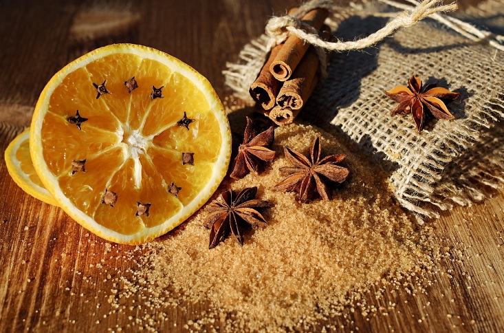 생활 환경균 위생 관리에서 집 청소 후 ‘말리기’가 중요한 진짜 이유