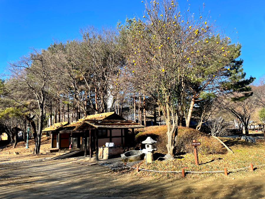 추운 겨울 정선 2박3일 여행 가볼만한 곳 04 - 정선 아라리촌