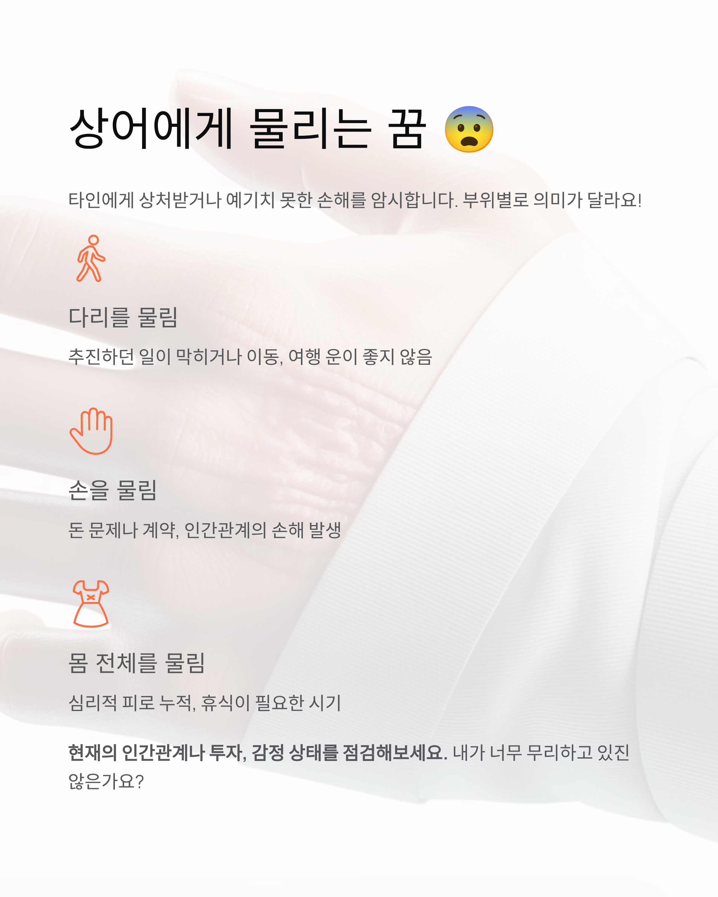 상어꿈 해몽|상어에게 쫓기거나 잡히는 꿈, 의미 총정리!