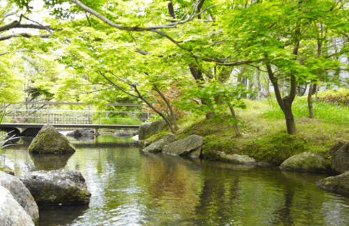 곤지암리조트 생태하천 여름