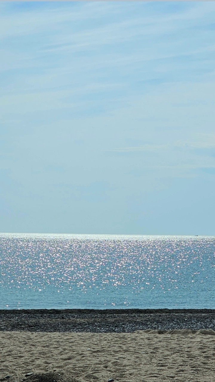 오류고아라해변