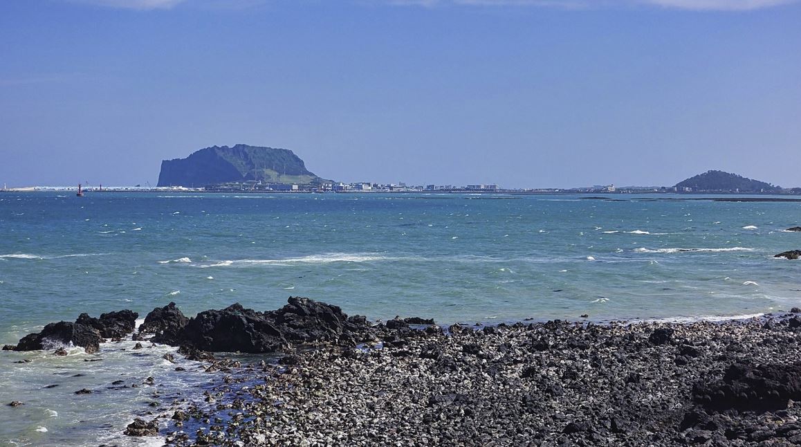 머리카락이 빠지는 꿈 해몽 (2025년 최신 해석)