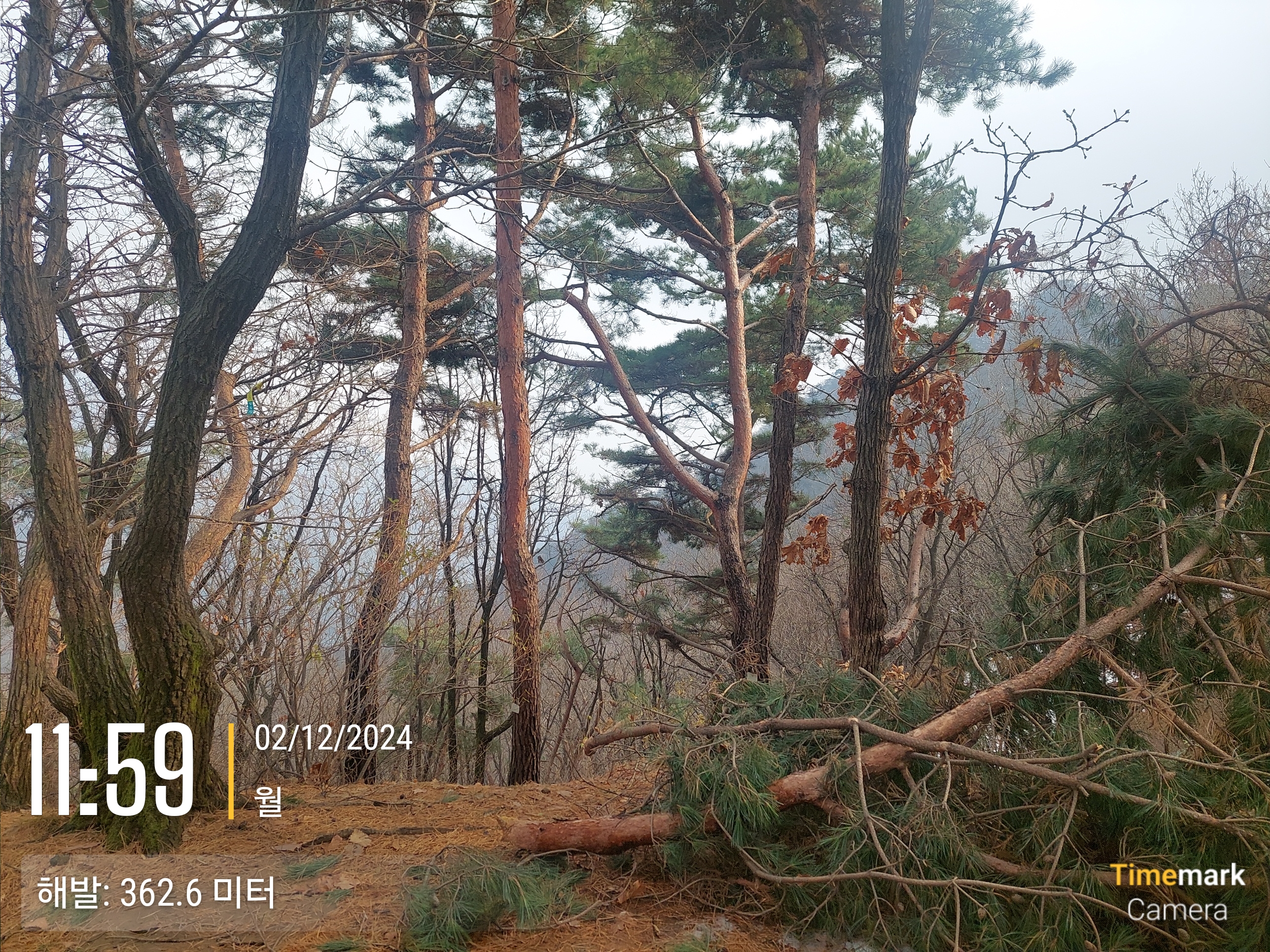 검단산